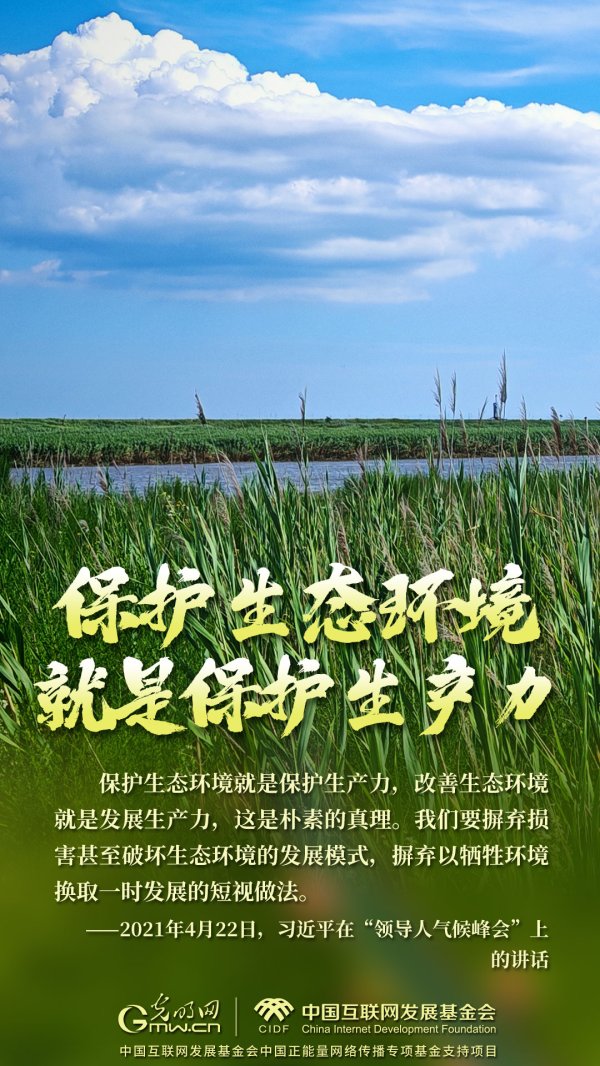 证券炒股配资网 “两山”理念与美丽中国丨红滩绿苇 鸥鹭齐飞：守护身边的“自然会客厅”