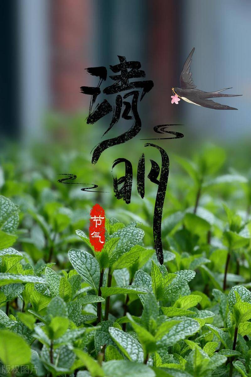 清明传统美食盘点(图1)